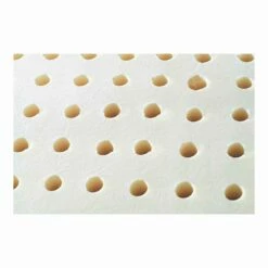 2 September Hypoallergene Kussens En Ademend 100% Latex Cervical Bio 9 2 September Hypoallergene Kussens En Ademend 100% Latex Cervical Bio -Slide Shop 14424