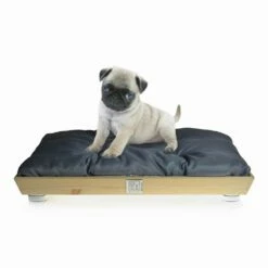 Honden- En Kattenkennel In Massief Hout Met Wasbaar Kussen Made In Italy - Juma -Slide Shop cuccia cani e gatti in legno massello con cuscino lavabile made in italy juma 11