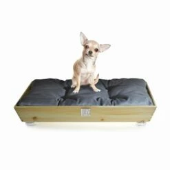 Honden- En Kattenkennel In Massief Hout Met Handgrepen En Kussen Made In Italy - Lyn 20 Honden- En Kattenkennel In Massief Hout Met Handgrepen En Kussen Made In Italy - Lyn -Slide Shop cuccia cani e gatti in legno massello con maniglie e cuscino made in italy lyn 11