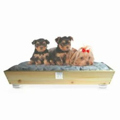 Honden- En Kattenkennel In Massief Hout Met Handgrepen En Kussen Made In Italy - Lyn
