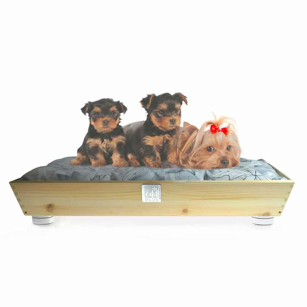 Honden- En Kattenkennel In Massief Hout Met Handgrepen En Kussen Made In Italy - Lyn 1 Honden- En Kattenkennel In Massief Hout Met Handgrepen En Kussen Made In Italy - Lyn