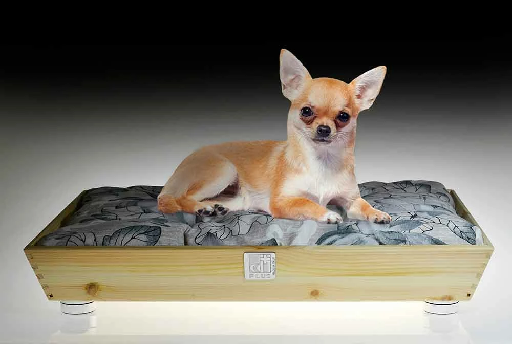 Honden- En Kattenkennel In Massief Hout Met Handgrepen En Kussen Made In Italy - Lyn 4 Honden- En Kattenkennel In Massief Hout Met Handgrepen En Kussen Made In Italy - Lyn - Afbeelding 4