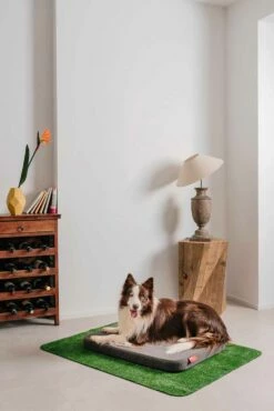 Kennel Voor Honden Met Kussen En Tapijt In Synthetisch Gras Made In Italy - Game -Slide Shop cuccia per cani con cuscino e tappeto in erba sintetica made in italy gioco 10