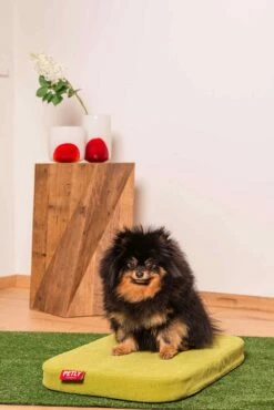 Hondenbed In Uitneembare Microfiber Gemaakt In Italië - Eenvoudig -Slide Shop cuccia per cani da interno in microfibra sfoderabile made in italy semplice 2