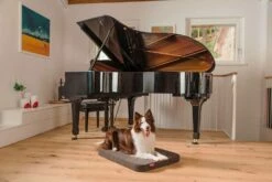 Hondenbed In Uitneembare Microfiber Gemaakt In Italië - Eenvoudig -Slide Shop cuccia per cani da interno in microfibra sfoderabile made in italy semplice