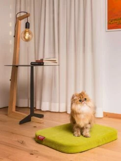 Hondenbed In Uitneembare Microfiber Gemaakt In Italië - Eenvoudig -Slide Shop cuccia per cani da interno in microfibra sfoderabile made in italy semplice 4