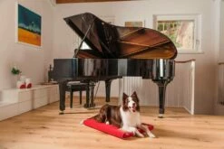 Kennel Voor Indoor Honden In Verwijderbare Stof Made In Italy - Essentieel -Slide Shop cuccia per cani da interno in tessuto sfoderabile made in italy essenziale 2