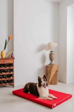 Kennel Voor Indoor Honden In Verwijderbare Stof Made In Italy - Essentieel -Slide Shop cuccia per cani da interno in tessuto sfoderabile made in italy essenziale