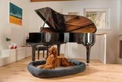 Hondenmand Voor Honden Met Uitneembare Microfiber Gemaakt In Italië - Zacht -Slide Shop cuccia per cani da interno sfoderabile in microfibra made in italy morbido