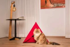 Kennel Voor Honden En Katten Binnenshuis Verwijderbaar Made In Italy - Pyramid -Slide Shop cuccia per cani e gatti da interno sfoderabile made in italy piramide 2