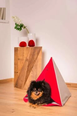 Kennel Voor Honden En Katten Binnenshuis Verwijderbaar Made In Italy - Pyramid -Slide Shop cuccia per cani e gatti da interno sfoderabile made in italy piramide