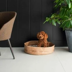 Kennel Voor Honden En Katten In Tommy-cellulosevezels, Gemaakt In Italië