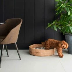 Kennel Voor Honden En Katten In Tommy-cellulosevezels, Gemaakt In Italië -Slide Shop cuccia per cani e gatti in fibra di cellulosa tommy made in italy 11