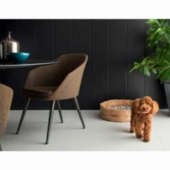 Kennel Voor Honden En Katten In Tommy-cellulosevezels, Gemaakt In Italië -Slide Shop cuccia per cani e gatti in fibra di cellulosa tommy made in italy 12