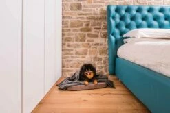 Zacht Hondenbed Met Kussen En Fleecedeken Made In Italy - Calduccio 21 Zacht Hondenbed Met Kussen En Fleecedeken Made In Italy - Calduccio -Slide Shop cuccia per cani morbida con cuscino e coperta in pile made in italy calduccio 1