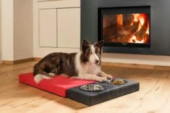 Indoor Hondenmand Met Uitneembare Kommen Gemaakt In Italië - Kommen -Slide Shop cuccia per cani sfoderabile da interno con ciotole made in italy ciotole