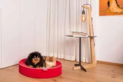 Kussen Voor Indoor Honden Met Verwijderbare Microfiber Vlek - Colosseum -Slide Shop cuscino per cani da interno sfoderabile in microfibra antimacchia colosseo 2