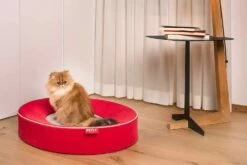 Kussen Voor Indoor Honden Met Verwijderbare Microfiber Vlek - Colosseum -Slide Shop cuscino per cani da interno sfoderabile in microfibra antimacchia colosseo