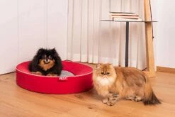 Kussen Voor Indoor Honden Met Verwijderbare Microfiber Vlek - Colosseum -Slide Shop cuscino per cani da interno sfoderabile in microfibra antimacchia colosseo 3