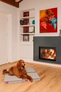 Hondenkussen Made In Italy Verwijderbaar, Modulair En Antislip - Ik Componeer -Slide Shop cuscino per cani made in italy sfoderabile componibile e antiscivolo compongo