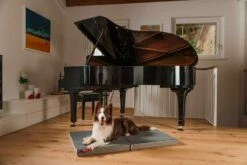 Hondenkussen Met Twee Stoffen Zomer Winter Gemaakt In Italië - Rigiro -Slide Shop cuscino per cani snodabile con due tessuti estate inverno made in italy rigiro 12