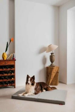 Hondenkussen Met Twee Stoffen Zomer Winter Gemaakt In Italië - Rigiro -Slide Shop cuscino per cani snodabile con due tessuti estate inverno made in italy rigiro 13