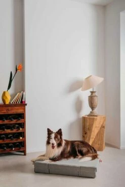 Hondenkussen Met Twee Stoffen Zomer Winter Gemaakt In Italië - Rigiro -Slide Shop cuscino per cani snodabile con due tessuti estate inverno made in italy rigiro 14