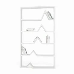 Slide Moderne Handgemaakte Darwin-boekenkast Vanaf De Grond