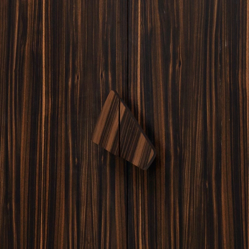 Grilli Zarafa 2-deurs Design Barkast Gemaakt In Italië In Ebbenhout 5 Grilli Zarafa 2-deurs Design Barkast Gemaakt In Italië In Ebbenhout - Afbeelding 5