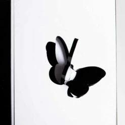 Paraplubak Van Zwart Plexiglas Met 3D-gravures En Decoraties, Modern Design - Farfo -Slide Shop portaombrelli plexiglass nero con incisioni e decori 3d design moderno farfo 2