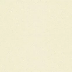 Lederen Bureaustoel Met Verchroomde Stalen Structuur Made In Italy - Elite -Slide Shop sedia da ufficio in cuoio con struttura in acciaio cromato made in italy elite 6