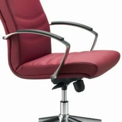 Bureaustoel In Beuken Bekleed Met Koeienhuid Bloemtype Debora -Slide Shop sedia da ufficio in faggio rivestita in pelle bovina tipo fiore debora 2