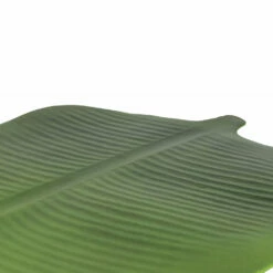 Groen Of Bladgoud Tropisch Design Ontbijt Placemat 12 Stuks - Esther -Slide Shop tovaglietta colazione design tropicale a foglia verde o oro 12 pz esther 2